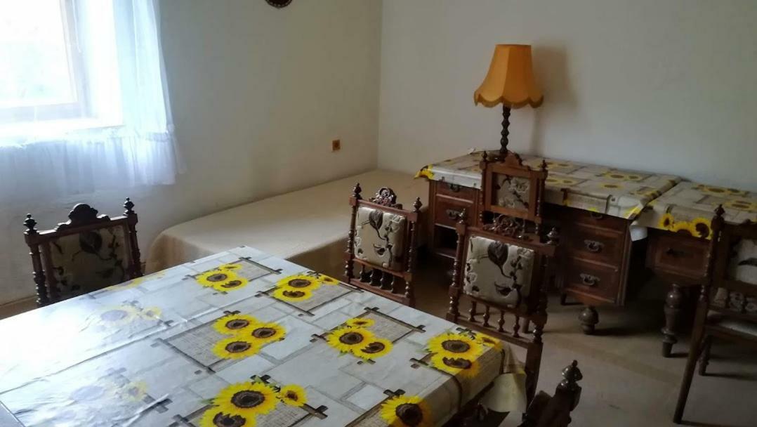 Pronajem Pokoju Belle Vue Apartment Vranov nad Dyji Ngoại thất bức ảnh