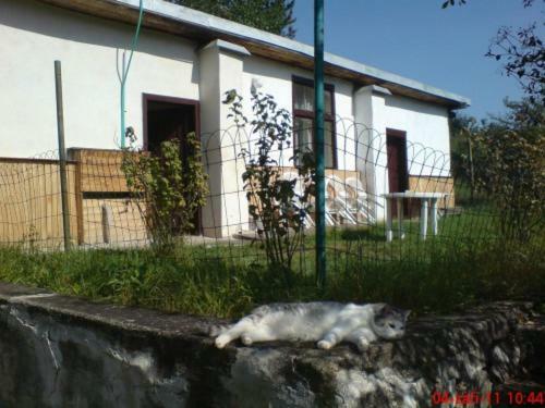 Pronajem Pokoju Belle Vue Apartment Vranov nad Dyji Ngoại thất bức ảnh
