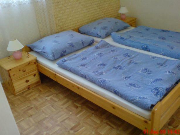 Pronajem Pokoju Belle Vue Apartment Vranov nad Dyji Ngoại thất bức ảnh
